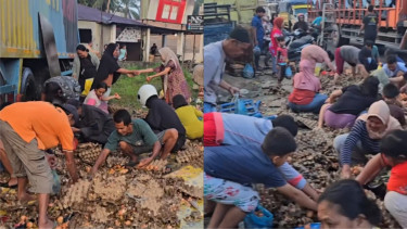 Viral Warga Ambil Telur Berserakan Usai Mobil Pikap Kecelakaan