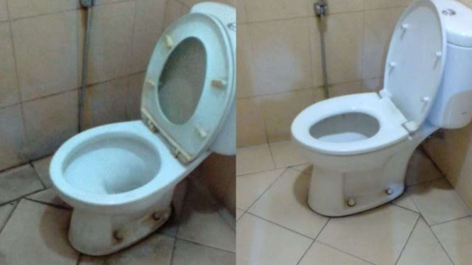 Ilustrasi Toilet