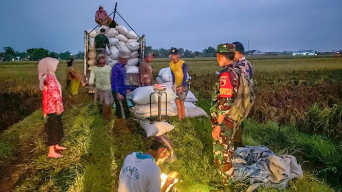 Perum BULOG berhasil mencapai angka serapan gabah dan beras sebesar 300.000 ton 