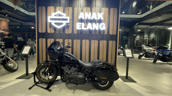 Diler Anak Elang Harley Davidson