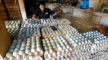 Telur asin Brebes, Jawa Tengah