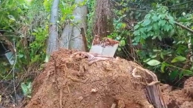 Penampakan tengkorak dan kain kafan di TPU Gunung Mahameru, Palembang