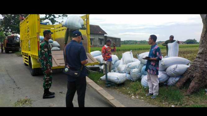 Bulog Kediri realisasikan penyerapan gabah dan beras