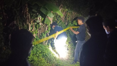 Mayat Bayi Ditemukan dalam Ember Cat di Bawah Pohon Pisang di Kendari