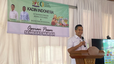 Ketua Umum Kadin Anindya Novyan Bakrie (Doc: Natania Longdong)