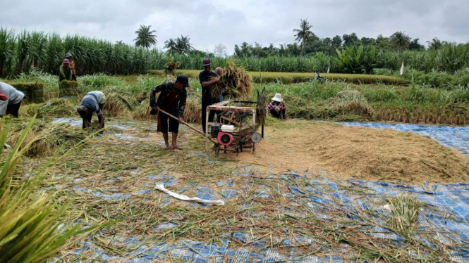 Perum Bulog Kanwil Jawa Timur melakukan penyerahan gabah beras petani
