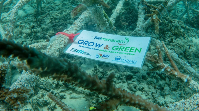 BRI Menanam Grow & Green