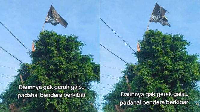 Instagram @explorejawatimuran
