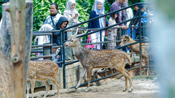 Wisata Lebaran di Bandung, Jawa Barat