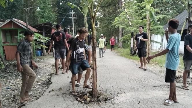 Warga Blora Tanam Pisang di Jalan Rusak