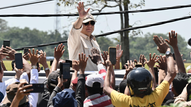 Presiden Prabowo Lakukan Panen Raya di Majalengka