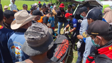 Pria di Konawe Selatan Ditemukan Tewas Diduga Diterkam Buaya