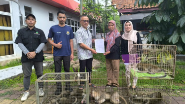 Penyerahan monyet liar dari BPBD Tangerang ke BKSDA