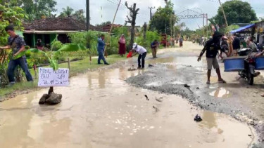 Jalan Rusak Tak Kunjung Diperbaiki, Warga Lampung Tabur 40 Kg Ikan Lele