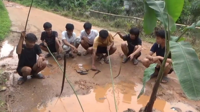 Aksi Pemuda Muaro Jambi Mancing Belut, Tanam Pohon Pisang di Jalan Rusak 