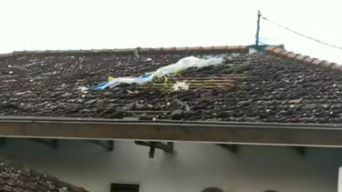 Petasan dipasang balon udara di Tulungagung meledak