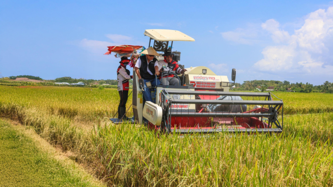 BULOG optimalkan penyerapan manfaatkan panen raya