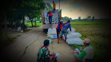 VIVA Militer: Prajurit Kodim Purwakarta mendata gabah petani