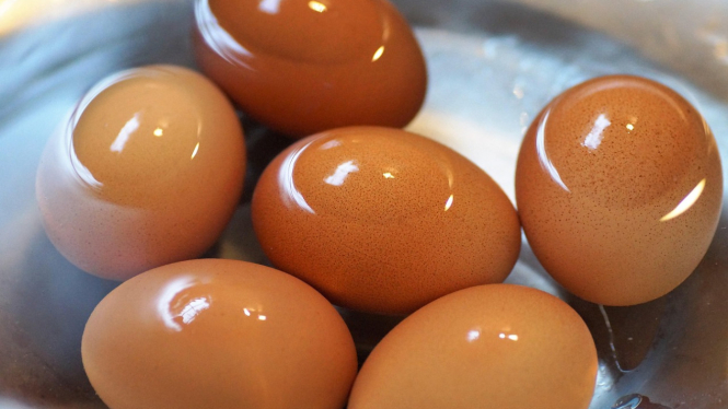 Telur Rebus