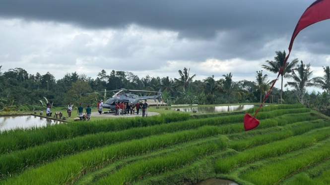 Wisatawan yang berkunjung ke Jatiluwih Eco Farm menggunakan helikopter