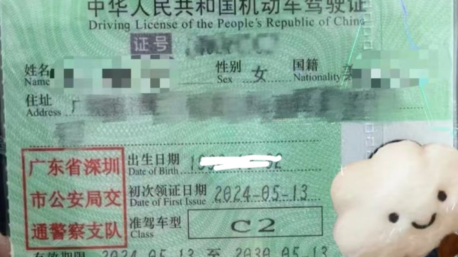 Contoh SIM salah satu warga China