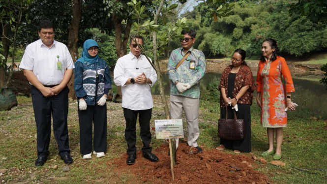 Widya Habibie