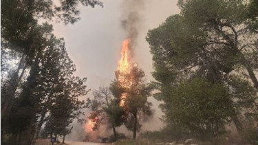 Kebakaran melanda Israel
