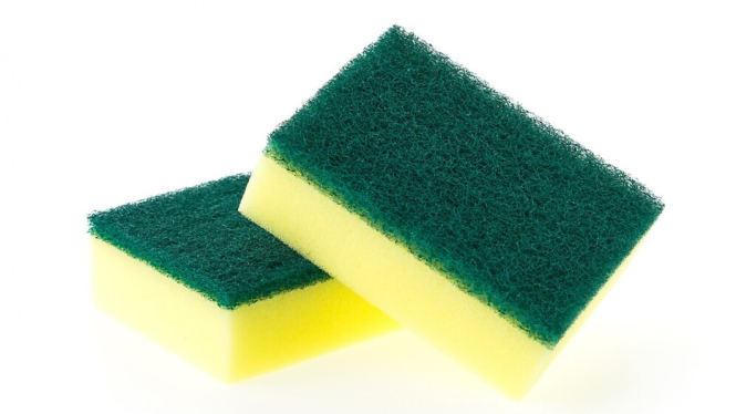 Ilustrasi sponge cuci piring