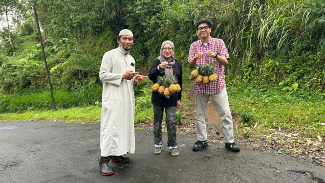 NanasQu, salah satu UMKM binaan Pertamina