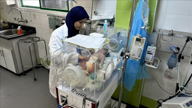 Staf medis berjuang menjaga bayi dengan sumber daya yang terbatas di Gaza