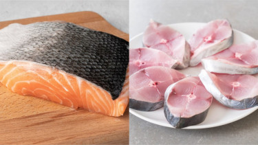 Ikan Salmon vs Ikan Kembung