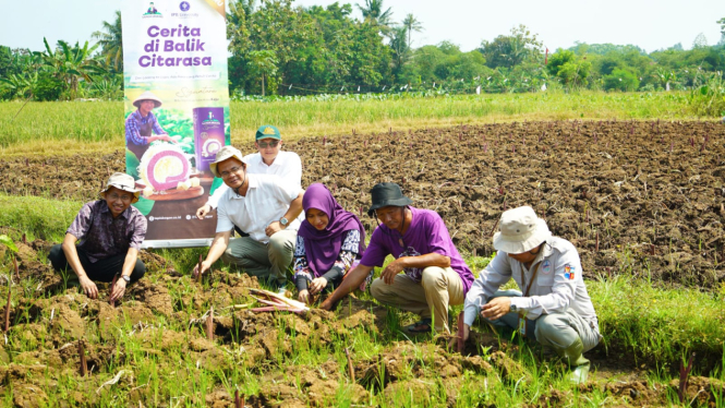 Kebun Talas Situgede, Bogor.