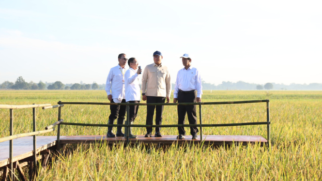 Stok gudang Bulog mencapai angka 3,502.895 ton