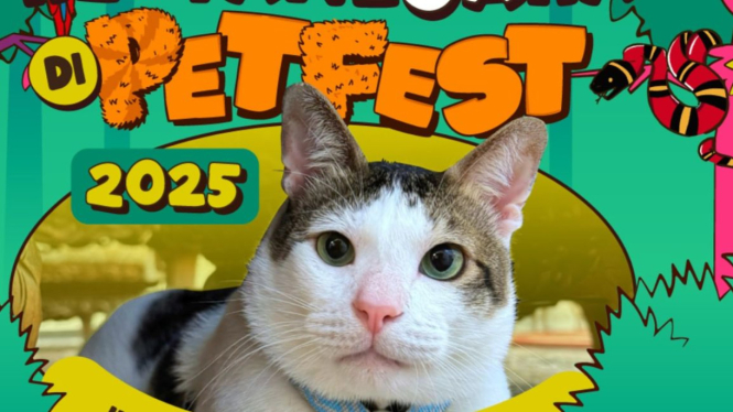 Kucing Presiden Prabowo Subianto, Bobby Kertanegara ramaikan Pet Fest Indonesia.