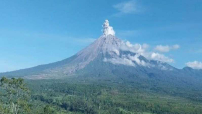 Gunung Semeru erupsi dengan letusan setinggi 700 meter.