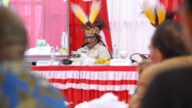 Wakil Menteri Dalam Negeri (Wamendagri), Ribka Haluk
