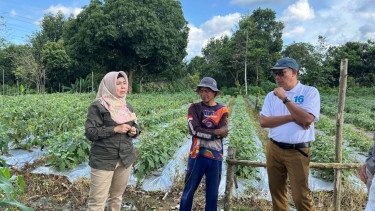 Cara Pertagas beri dukungan demi tingkatkan ekonomi petani