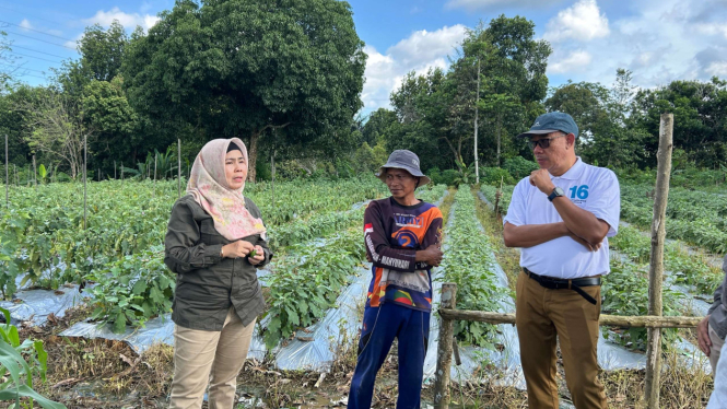Cara Pertagas beri dukungan demi tingkatkan ekonomi petani