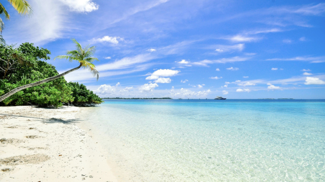 Ilustrasi pantai