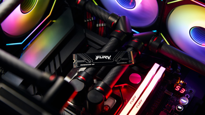 Kingston Fury Renegade G5.