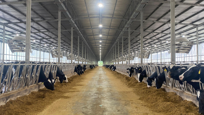 Lokasi Peternakan Sapi KIN Dairy Farm di Garut (Doc: Natania Longdong)