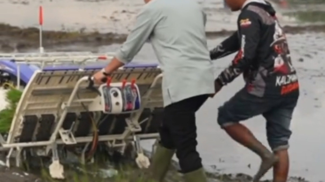 Tangkapan Layar Video Gibran Tanam Padi di Ngawi