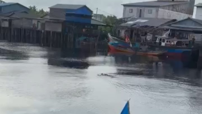 Foto : Buaya Bawa Kabur Anak Dibawah Dibawah Umur Setelah Memangsa Ditepi Sungai Desa Air Hitam Laut, Kecamatan Sadu Kabupaten Tanjung Jabung Timur, Jambi 