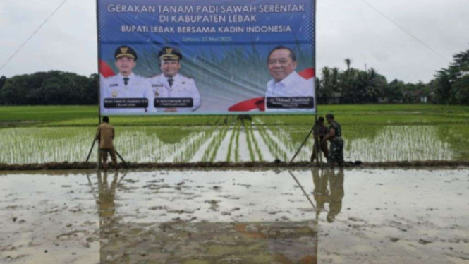 Acara gelar tanam.