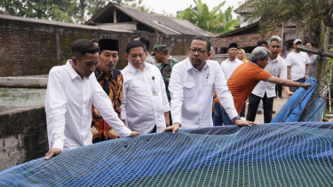 Wakil Kepala Staf Kepresidenan M. Qodari