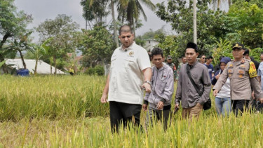 Anggota DPR RI Fraksi Partai NasDem, Rajiv