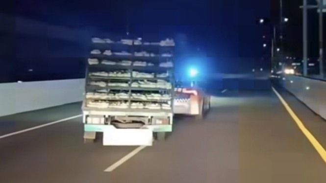 Polisi Kejar Truk Ayam