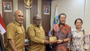 Wakil Ketua DPD RI, Yorrys Raweyai