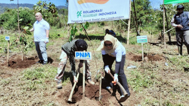 Aksi nyata PNM untuk Alam Indonesia