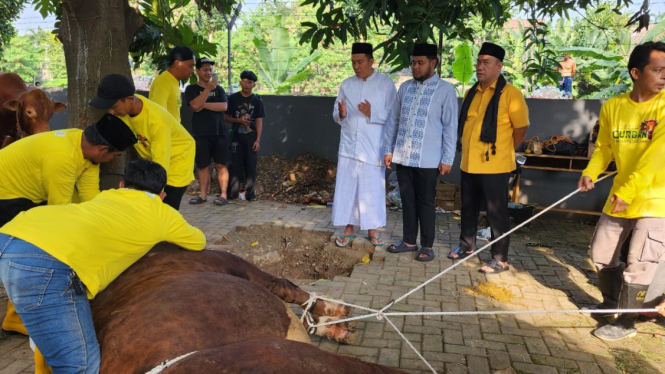 Kurban DKM Masjid Ainul Hikmah Golkar